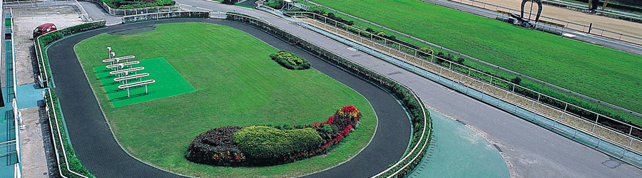 Macau Jockey Club, Macau, China - Evopave™ Interlocking pavers